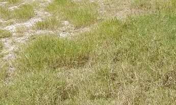 Imagem 7: Terreno para Venda no Recreio dos Bandeirantes