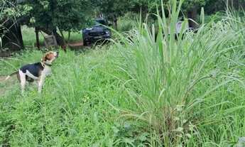 Imagem 4: Compro casa ou apartamento a base de permuta