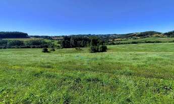 Imagem 9: Fazenda à venda, 907500 m² por R$ 8.000.000 100% regularizada - Guaraniaçu/PR