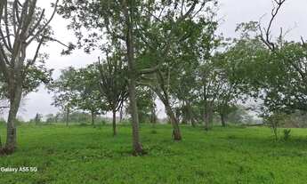 Imagem 6: Belíssima fazenda de aproximadas, 429 t, sede, curral, aguadas, rio, riacho, energia plana