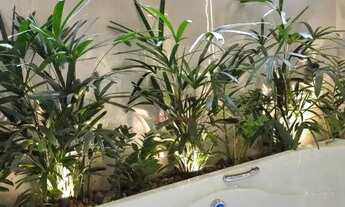 Imagem 6: Casa com 3 Quartos à venda, 212 m² por R$ 2.290.000 - Gaivota II - São José do Rio Preto/S