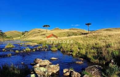Imagem 7: Fazenda em RS 020 - Ouro Verde - Cambará do Sul/RS