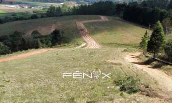 Imagem: Liberdade total para criar