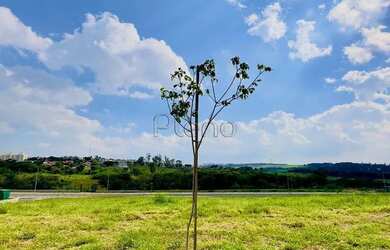 Imagem 6: Terreno à venda no Loteamento Alphaville Campinas, Campinas