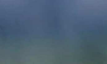 Imagem: Imóvel para venda possui 1000 metros quadrados