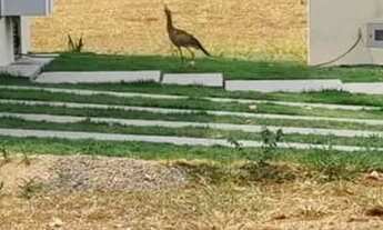 Imagem 6: Casa à venda no bairro Terras Alpha Residencial 2 em Senador Canedo/GO