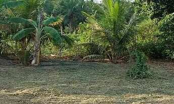 Imagem 3: TERRENO PARA CHÁCARA R$ 70000