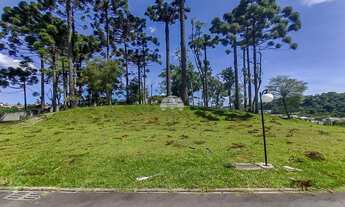 Imagem 2: Vendas Terreno Colombo PR