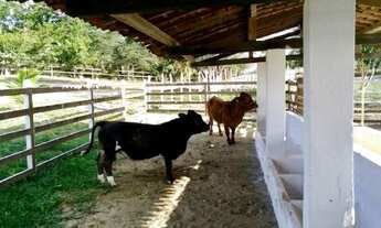 Imagem 6: Lote a venda Condominio Fazenda Gramado - Gravatá , terreno com uns 1300 mts