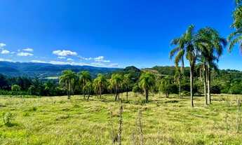 Imagem 2: Sitio com 6 Hectares em Três Coroas na Localidade de Figueira na Serra Gaúcha