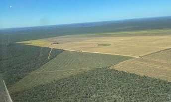 Imagem: FAZENDA DE SOJA EM BALSAS 44.000 HECTARES