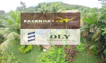 Imagem 2: Chácara à venda em Jandaia-Go ! 7.1 Alqueires !