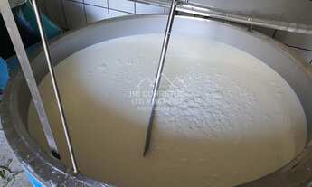 Imagem 7: Leopoldina - Fazenda - Centro