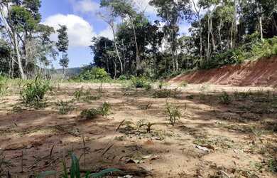 Imagem 5: Lote no Vale das Videiras para venda tem 6000 m²