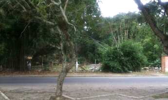 Imagem 6: Porto Alegre - Terreno Padrão - Serraria