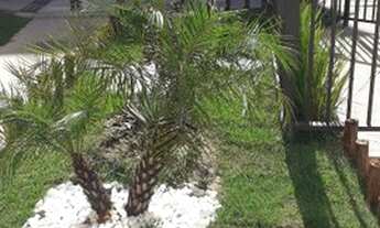 Imagem 4: Alugo apartamento ceramica nova iguacu