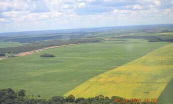 Imagem 5: Fazenda Município Cristalina - GO