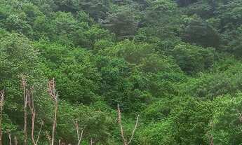 Imagem 2: Sítio com 21 hectares