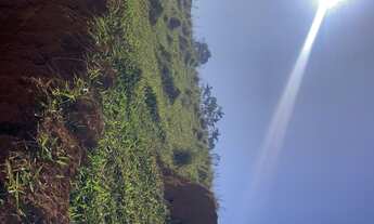 Imagem 4: R5- Venha já conferir os terrenos mais panos da região de Igarata