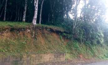 Imagem 2: Terreno Bairro Bandenfurt