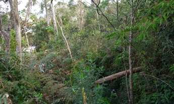 Imagem 3: Lotes / terrenos