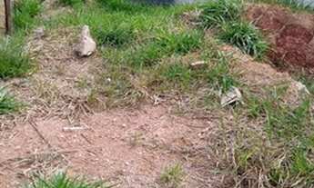 Imagem 4: Terreno À Venda - 140M² - Jacaranda - Carapicuíba