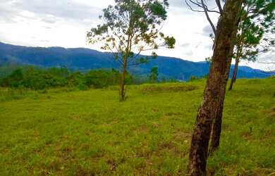 Imagem 3: Lote/Terreno para venda tem 1000 metros quadrados em Barreiro - Mairiporã - SP