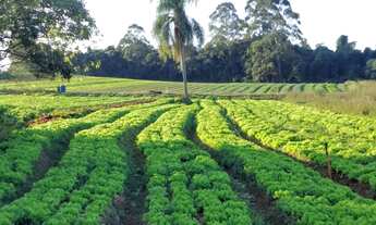 Imagem 4: Comece a Investir em Terrenos no Interior em Ibiúna SP MN