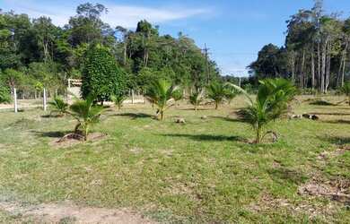 Imagem 7: Sítio Sonho Meu - Km 53 - Ramal ZF1