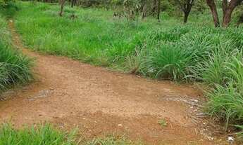 Imagem 5: Terreno para Venda em RA VI Planaltina, Fazenda Mestre D`Armas