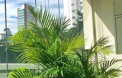 Imagem 3: Apartamento Venda 2 Dormitórios - 80 m² Campo Belo