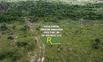 Imagem 5: 32 Alqueires Machadinho-RO