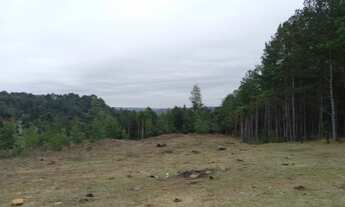 Imagem 2: TORRO TERRENO NO CARACOL + CRÉDITO DE CONSTRUÇÃO