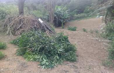 Imagem 5: SAO ROQUE - Terreno Padrão - CENTRO (CANGUERA