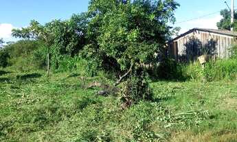 Imagem 4: Vendo lote Terreno / lote com venda por R$10.000