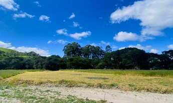 Imagem 3: Vendo Terreno em Mairique Direto Com O Proprietário!