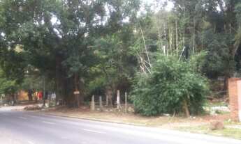 Imagem 2: Porto Alegre - Terreno Padrão - Serraria