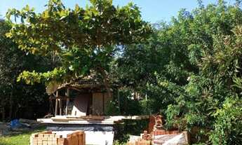 Imagem 3: Terreno à venda, 435 m² por R$ 700.000 - Ferrugem - Garopaba/SC