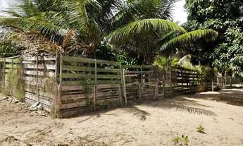 Imagem 6: Linda Granja(chácara