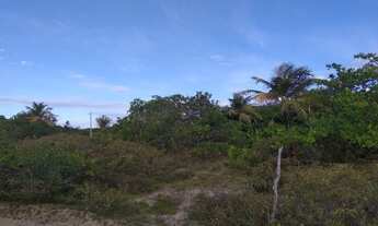 Imagem 3: Atins (Venda de terrenos