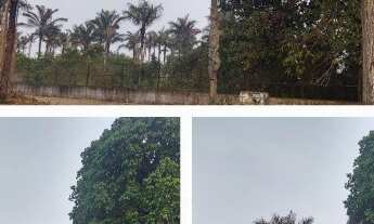 Imagem: Vende-se 2 lotes em Condomínio de Chácaras