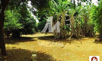 Imagem 7: Chacara (chacara) 4 dormitórios/suite, cozinha planejada