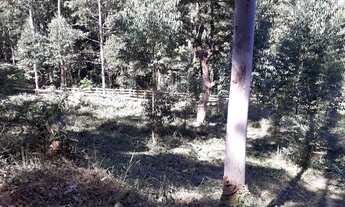 Imagem 4: Chácara Mantiqueira