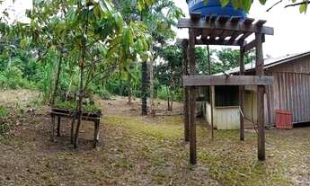 Imagem 3: Sítio em Barcelos-AM