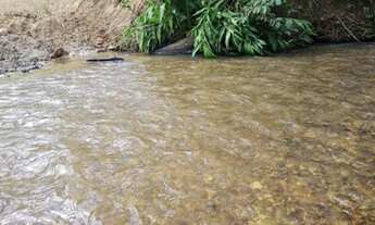 Imagem 2: Fazenda de 20 alqueires em Hidrolândia