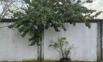 Imagem 4: VENDE-SE TERRENO COM ESTRUTURA PARA PRÉDIO