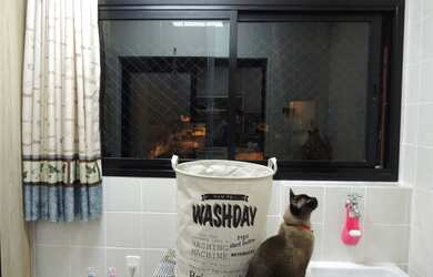 Imagem 4: Apartamento com 3 Quartos à Venda, 78 m² por R$ 450.000,00