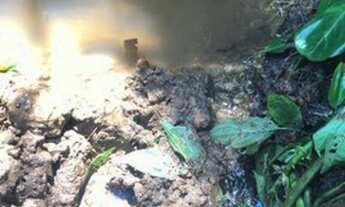 Imagem 6: Área de terra em Tibagi