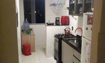 Imagem 3: Ingleses preço de ocasião !