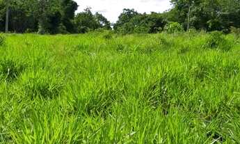 Imagem 2: Fazenda de 319ha em a 40km de Cuiabá em N.S do Livramento